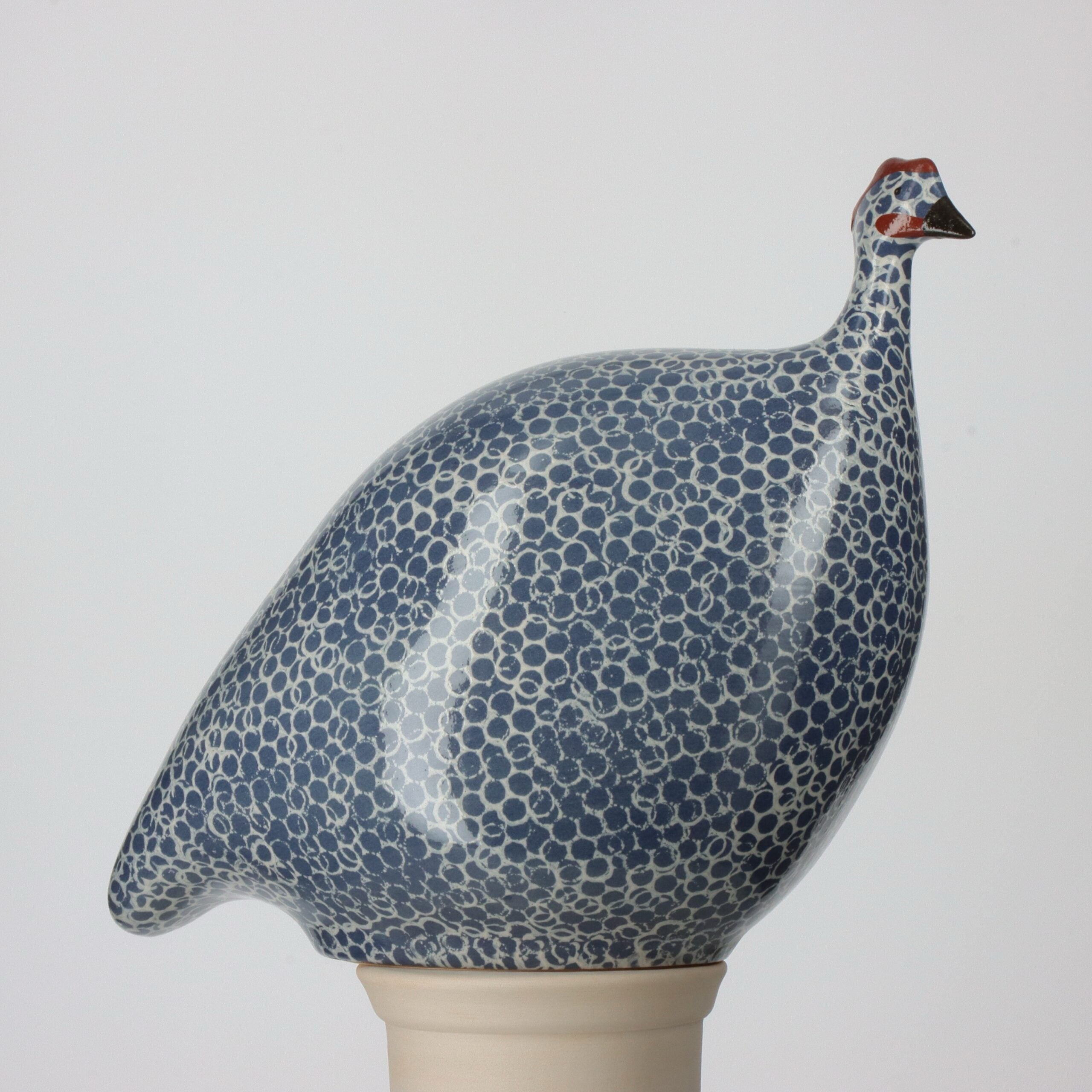 Small Guinea Hen