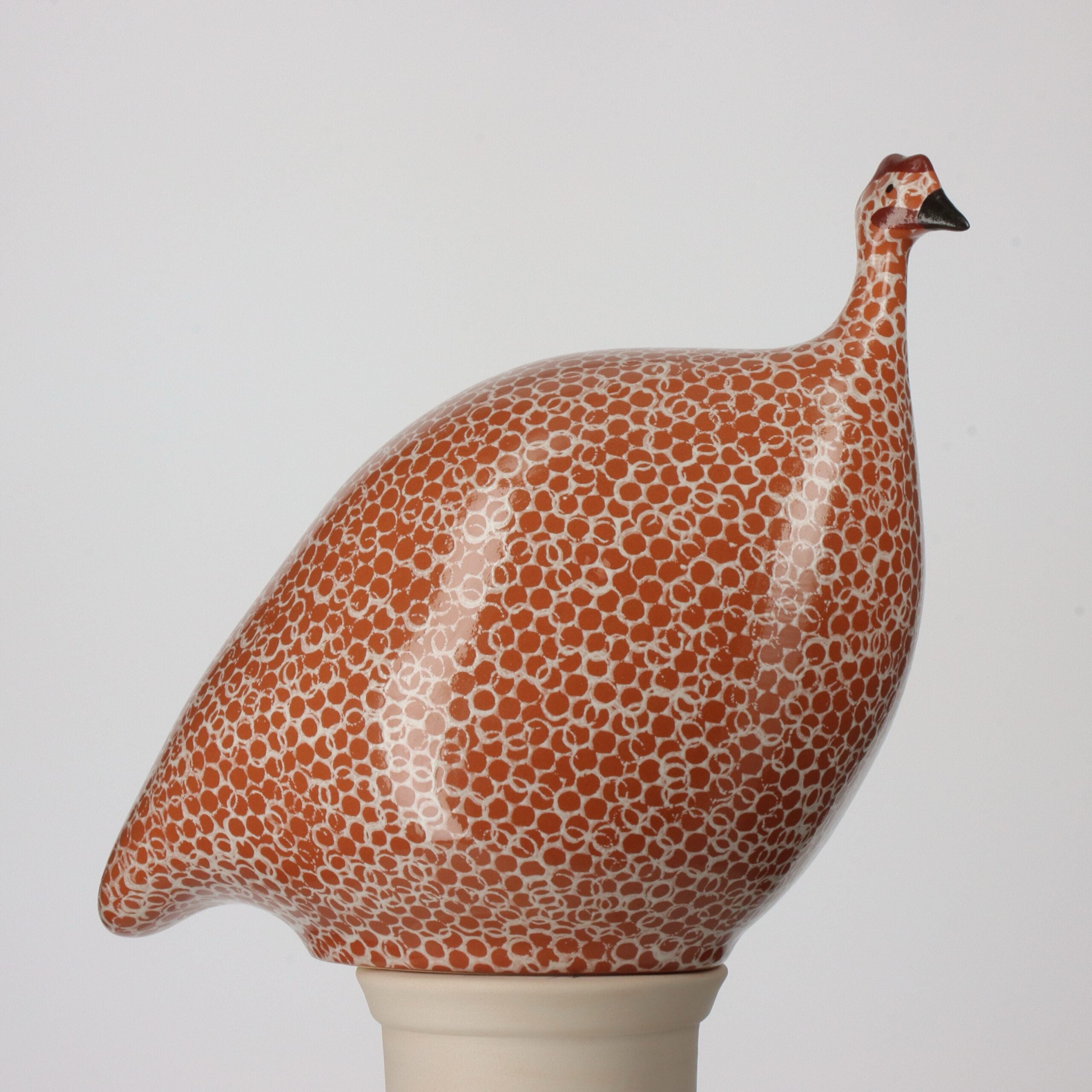 Small Guinea Hen