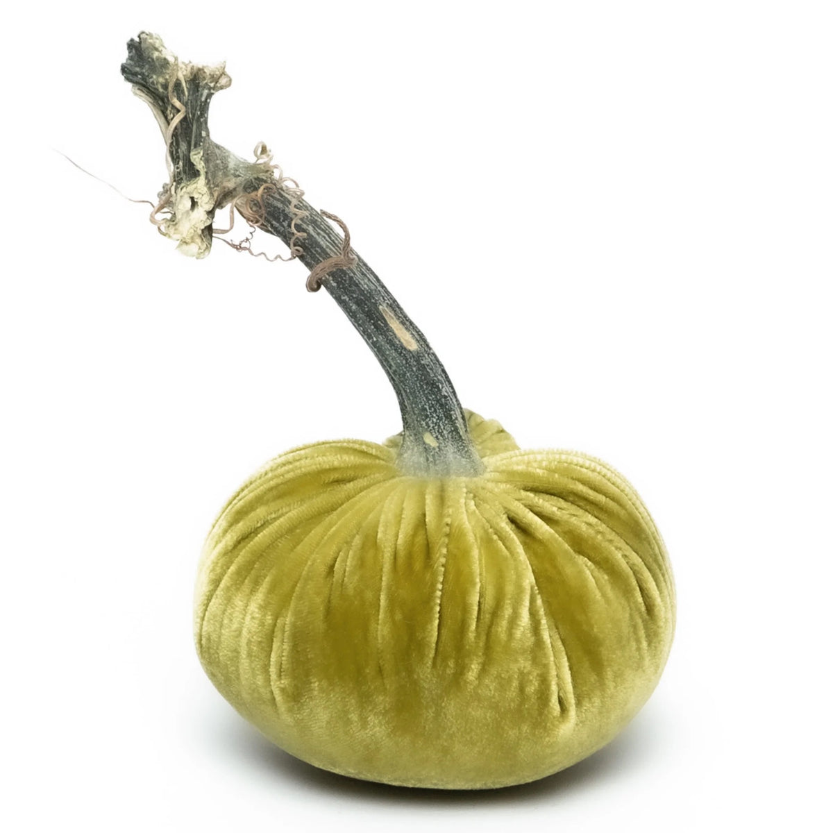 Velvet Pumpkins