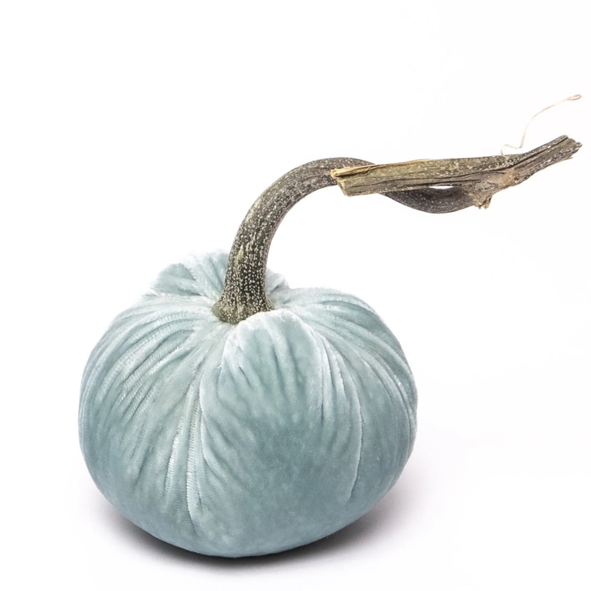 Velvet Pumpkins
