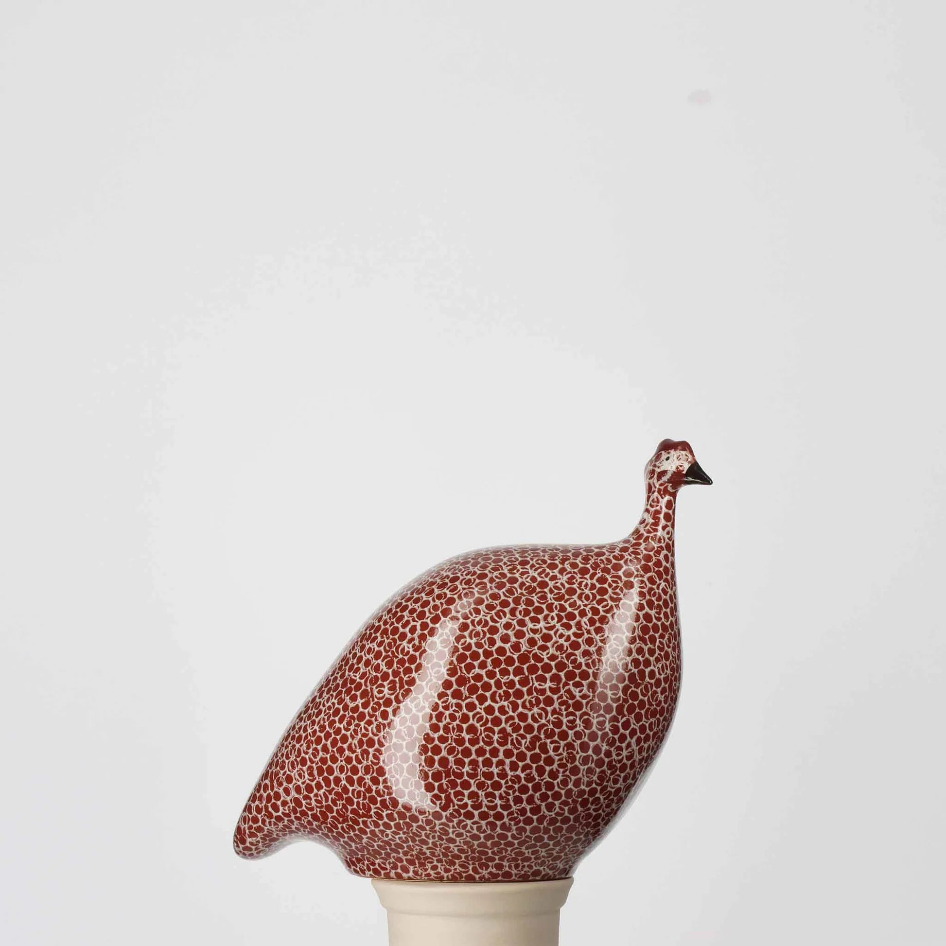 Red Spotted White Guinea Fowl