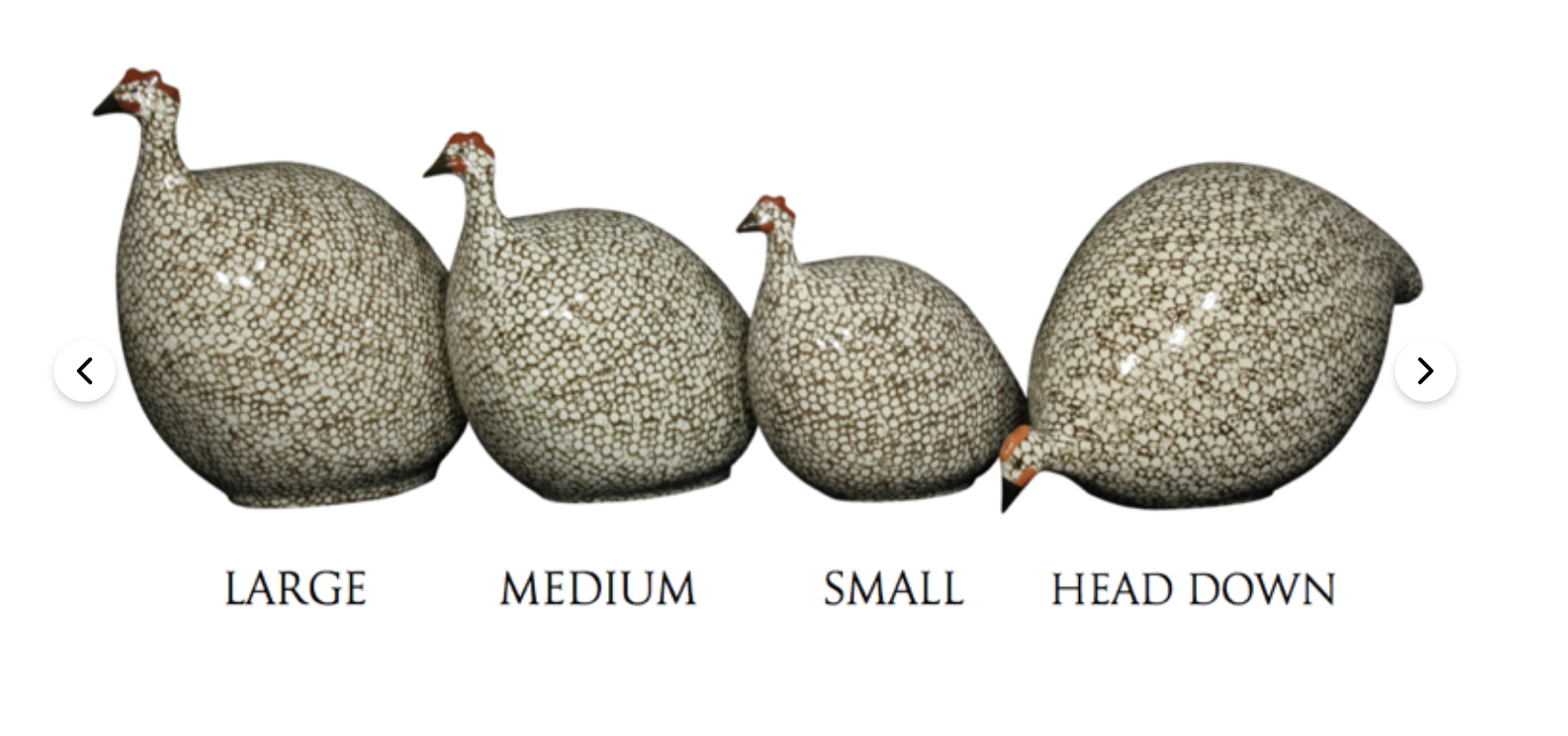 Black Spotted Grey Guinea Fowl