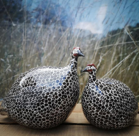 Black Spotted White Guinea Fowl
