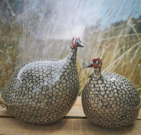 Black Spotted Grey Guinea Fowl