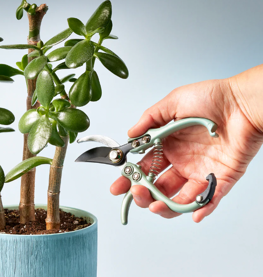 Garden Pruners