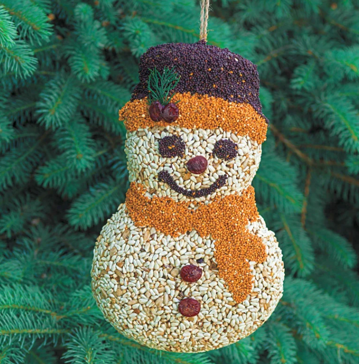 Frosty Snowman Bird Feed