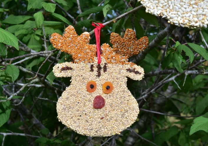 Rudolph Christmas Cookie Bird Food