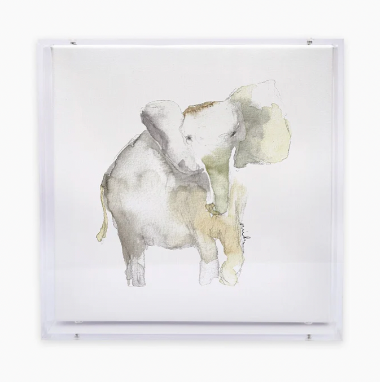 Animal Canvas Acrylic Shadow Box
