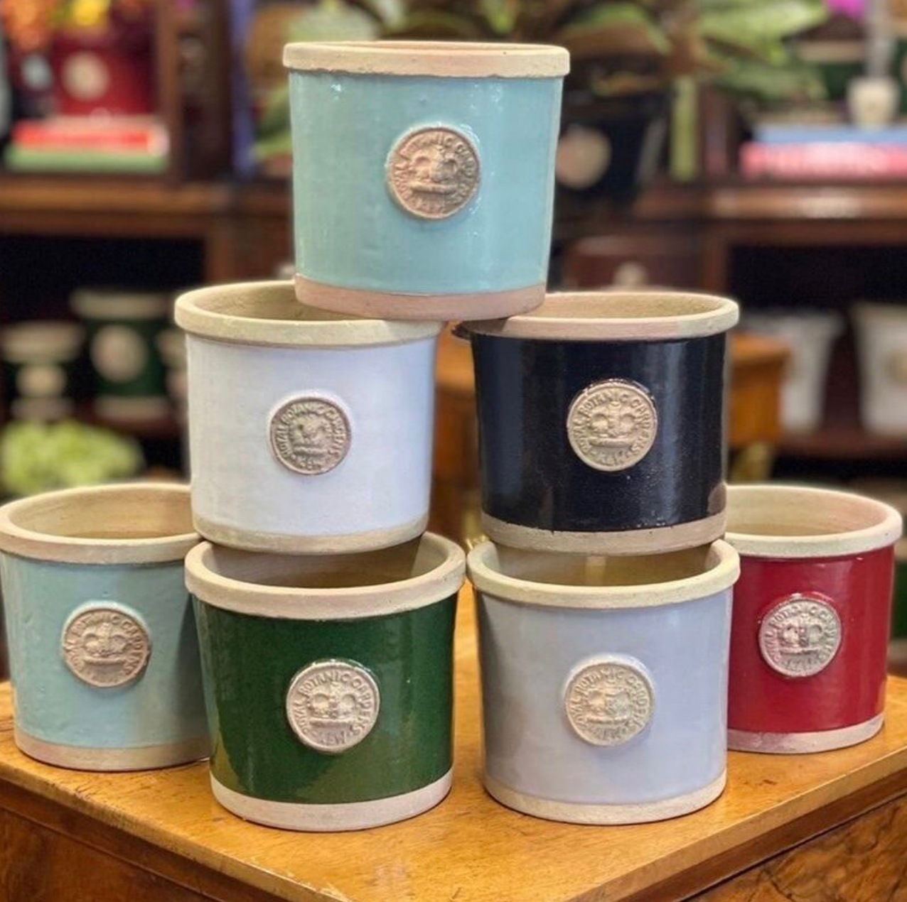 Chelsea - Kew Round Herb Pot
