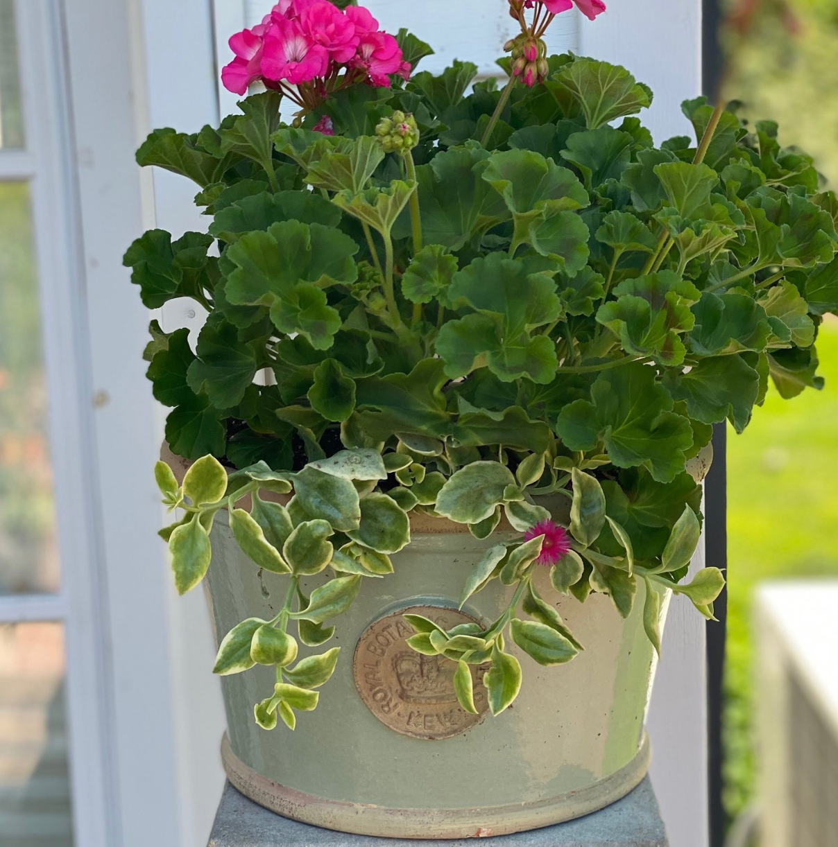 Windsor Kew Low Pots