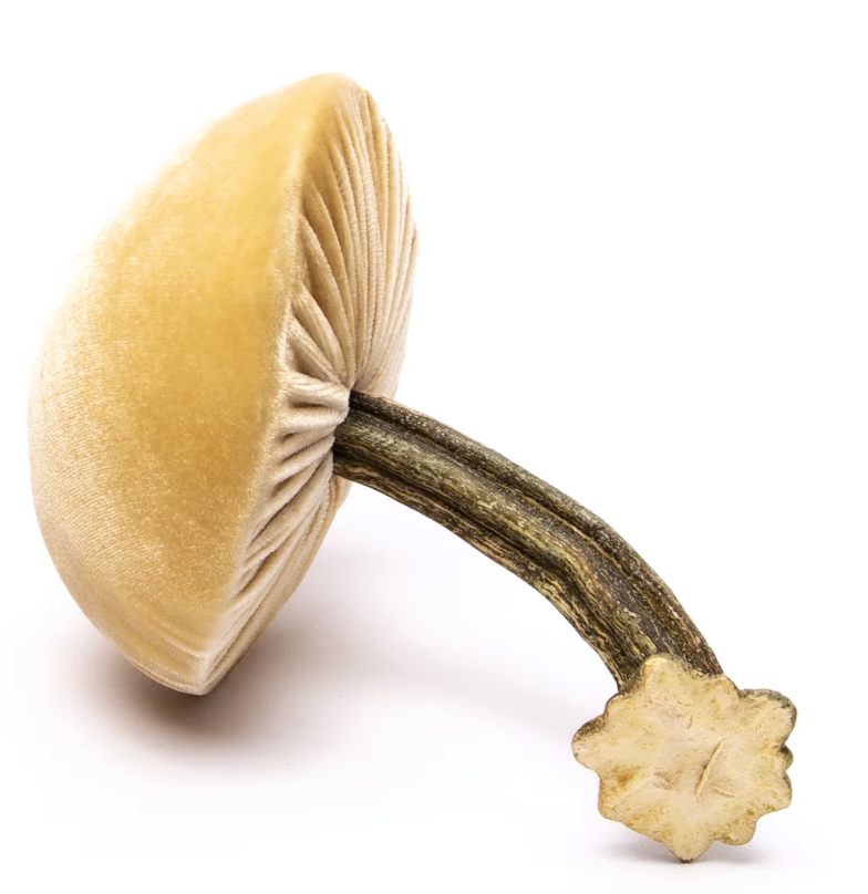Velvet Mushrooms