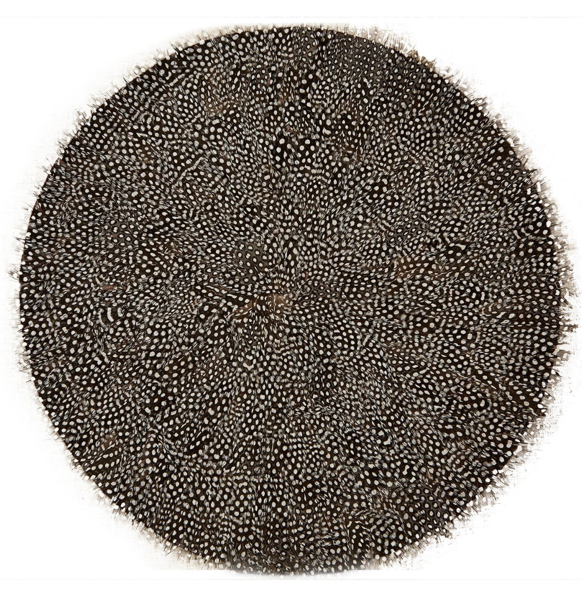 Guinea Feather Placemats