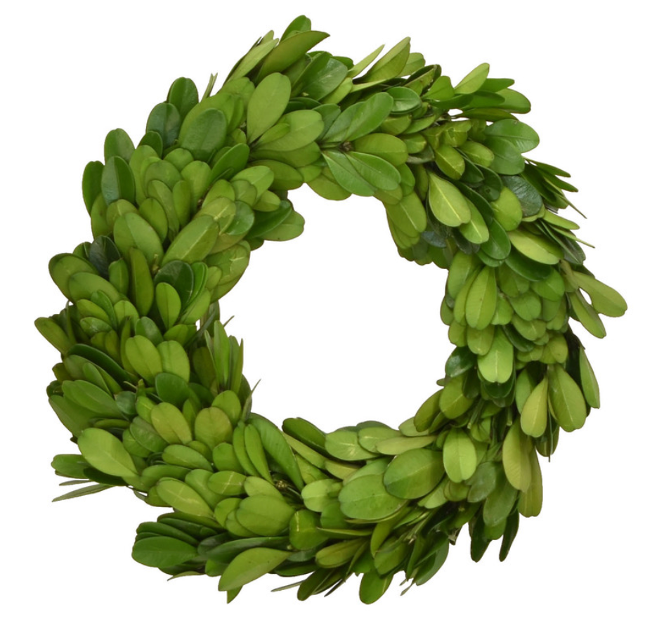 6" Preserved Boxwood Candle Ring