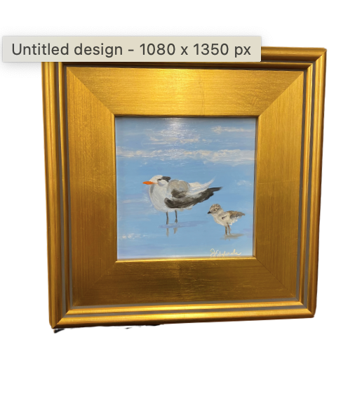 Jennifer Edwards Seagull Playdate