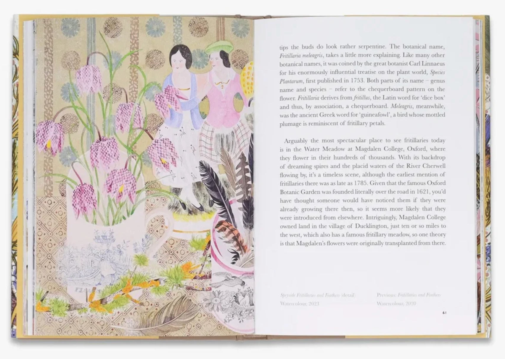 The Book Of Wild Flowers