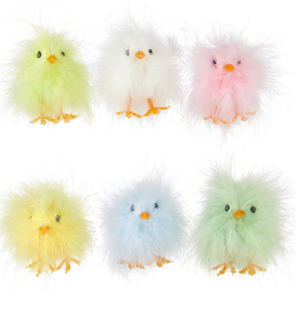 Tube of Chicks