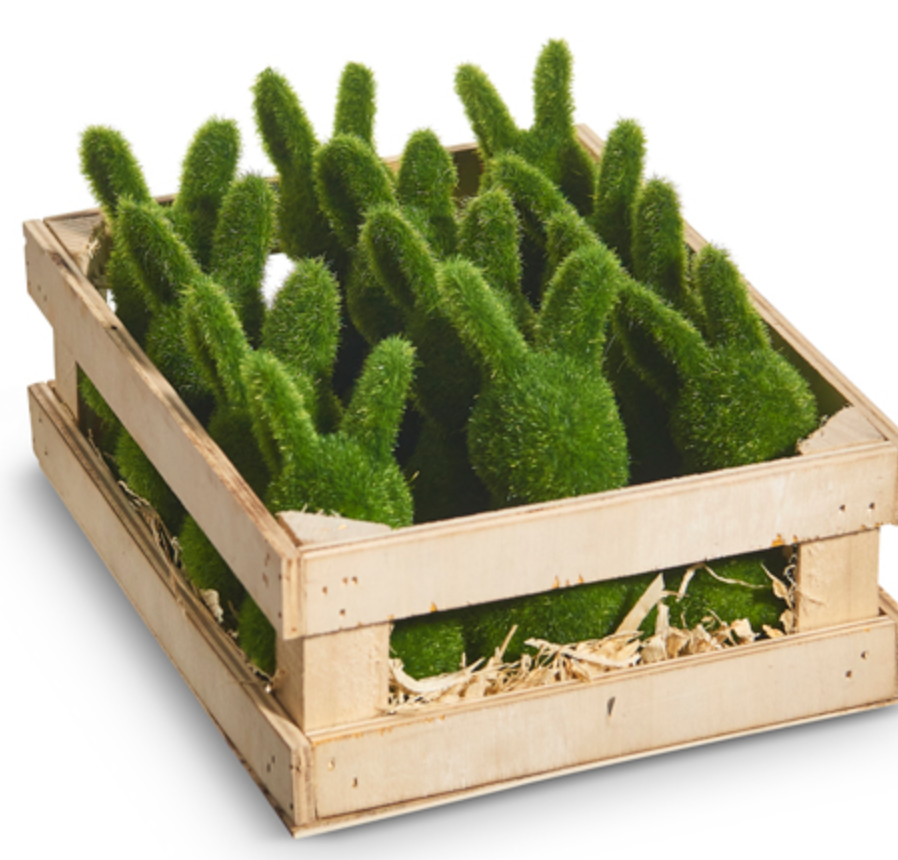 Bag of Moss Rabbits