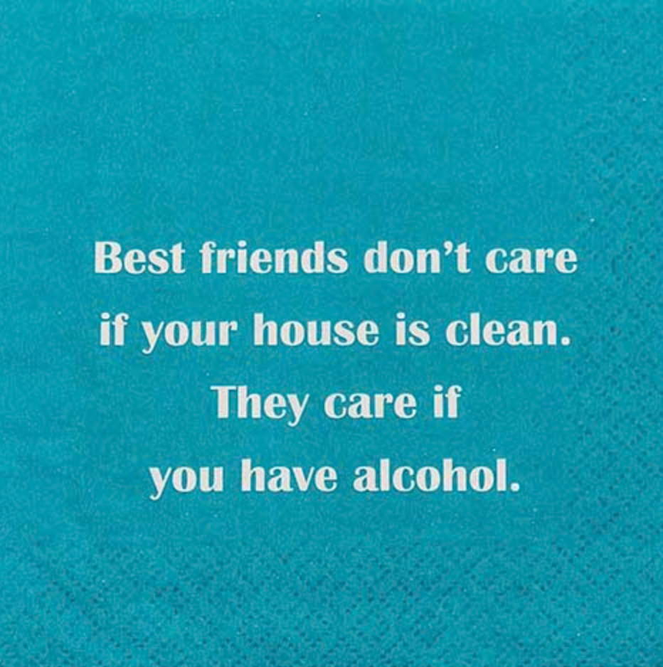 Best friends/clean house