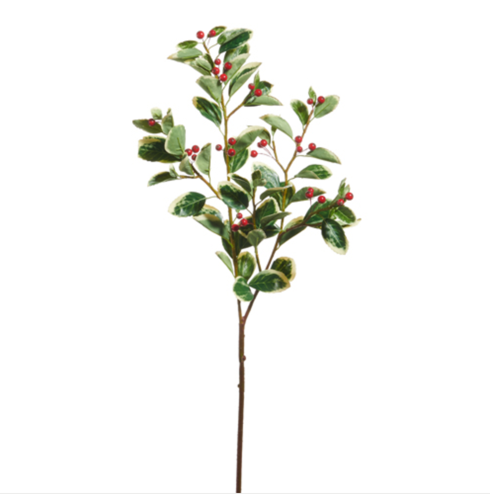Leaf and Red Berry Spray