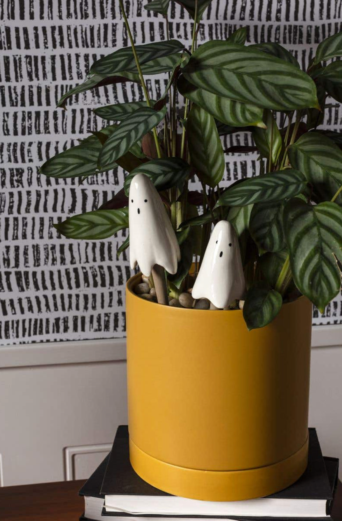 CASPER PLANT STICKS