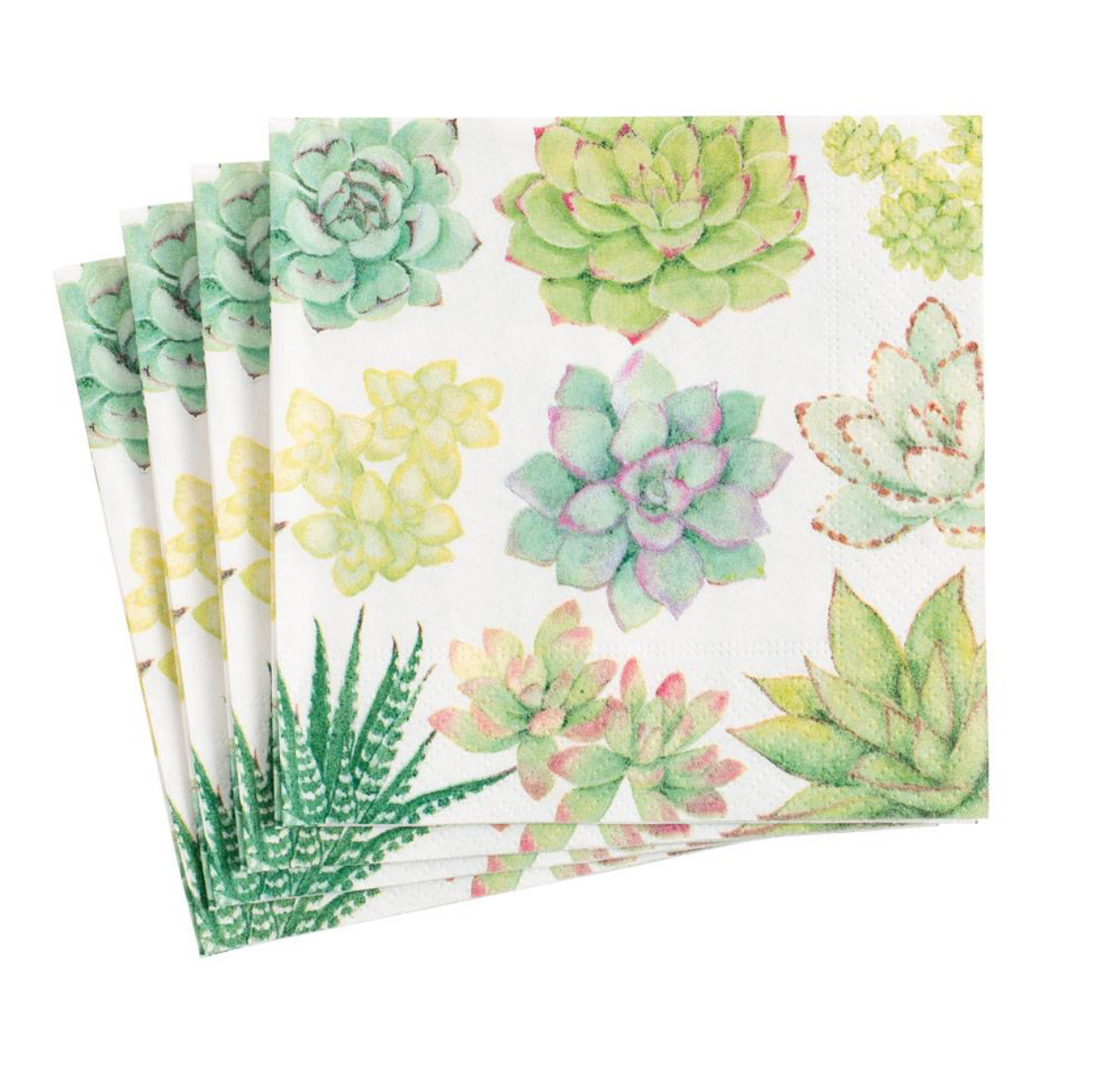 Succulents Paper Luncheon Napkins