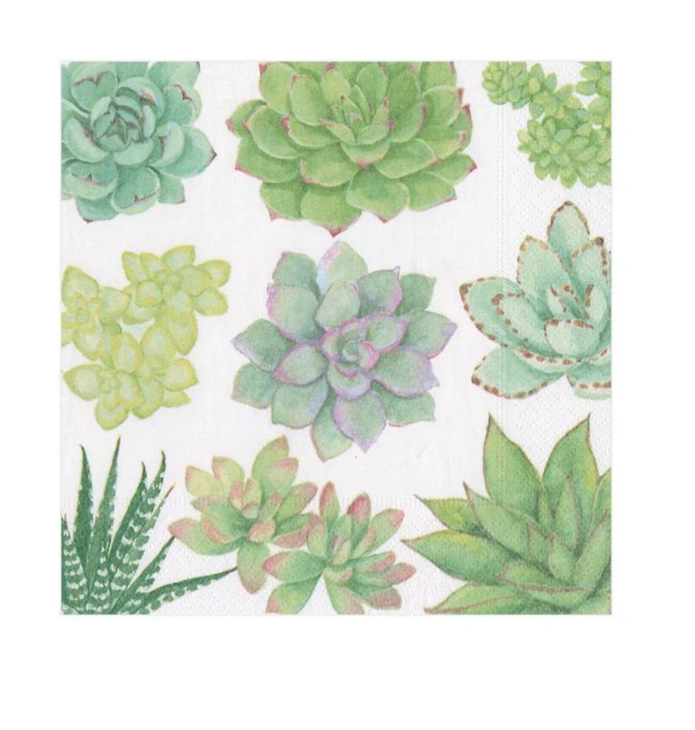 Succulents Paper Luncheon Napkins