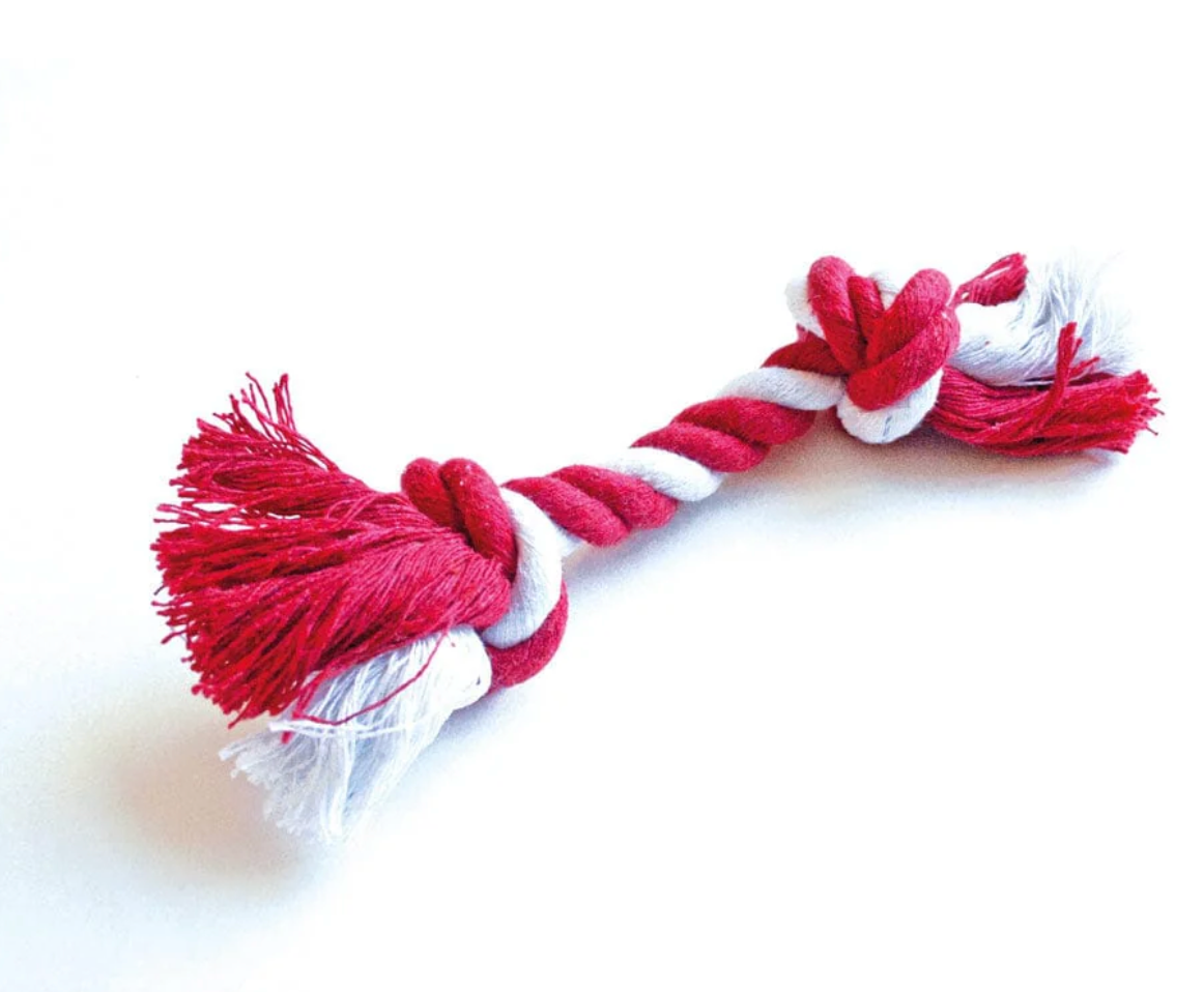 Santa Hat Pet Favors