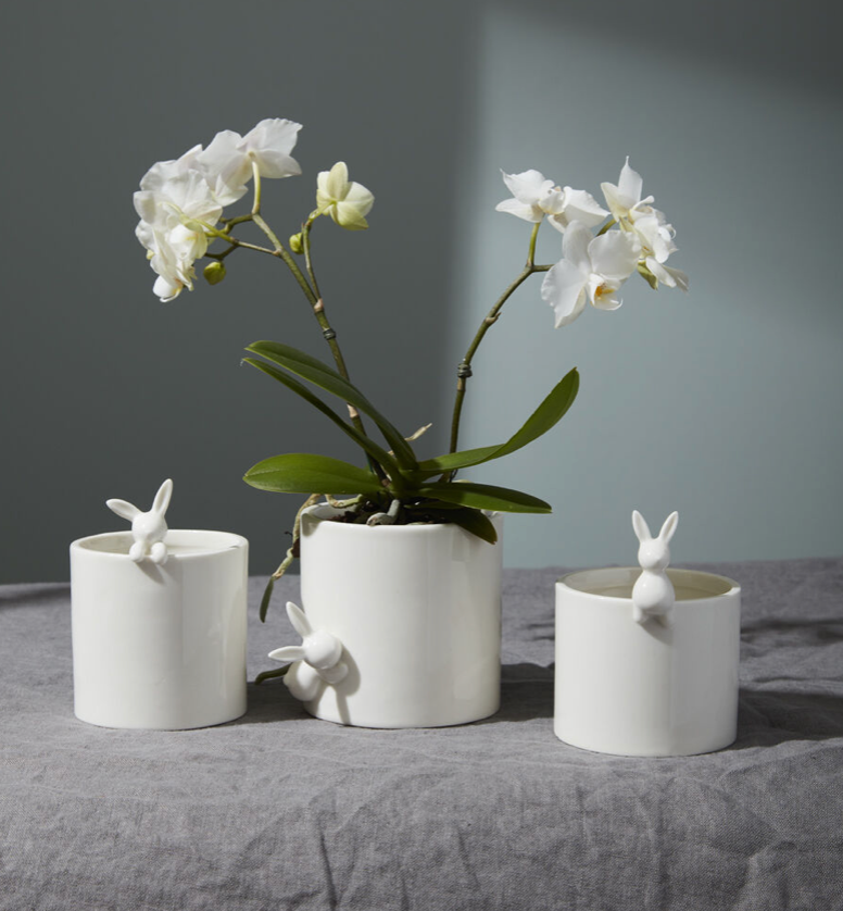 Peeking Bunny Pots