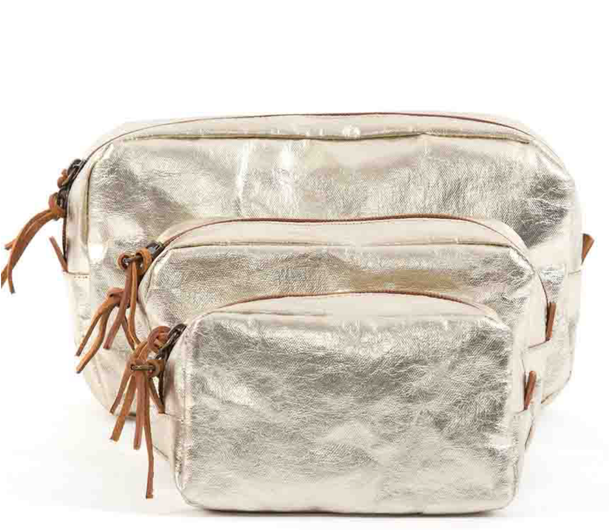 Cosmetic Bag Beauty Case- Platino