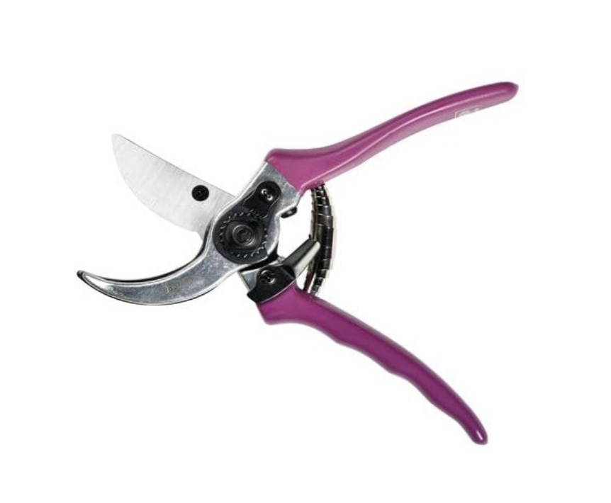Burgon & Ball RHS Gift Secateurs Asteraceae- Purple