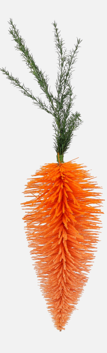 Hanging Carrot