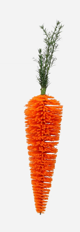 Hanging Carrot