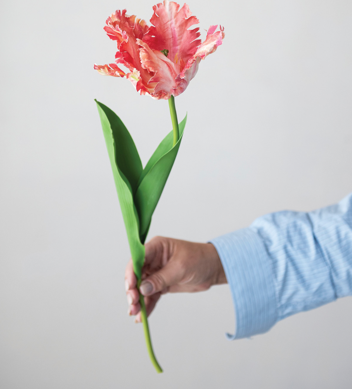 Faux Tulip Stem