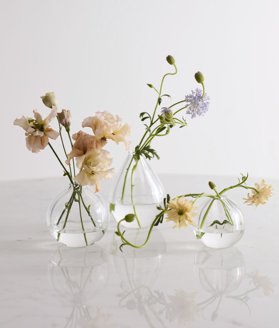 VIOLA BUDVASE