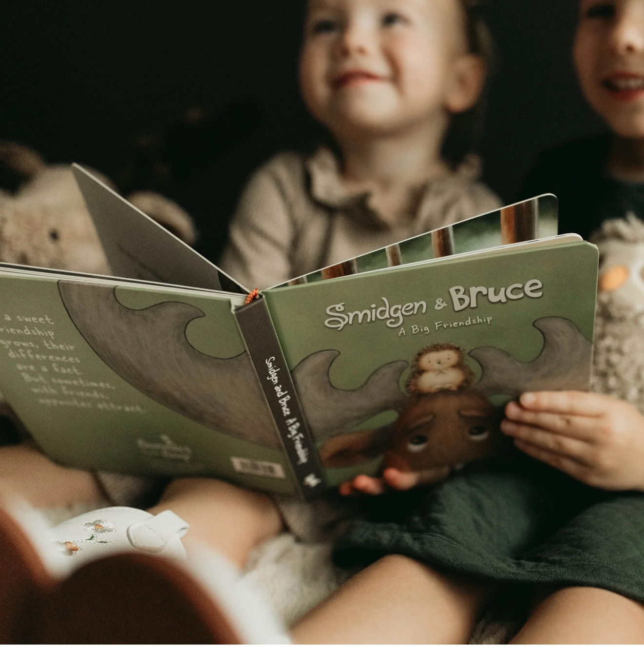 Smidgen & Bruce A Big Friendship Board Book