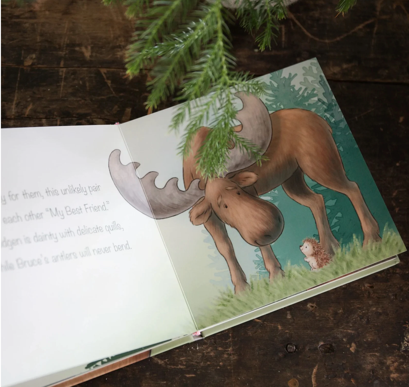 Smidgen & Bruce A Big Friendship Board Book