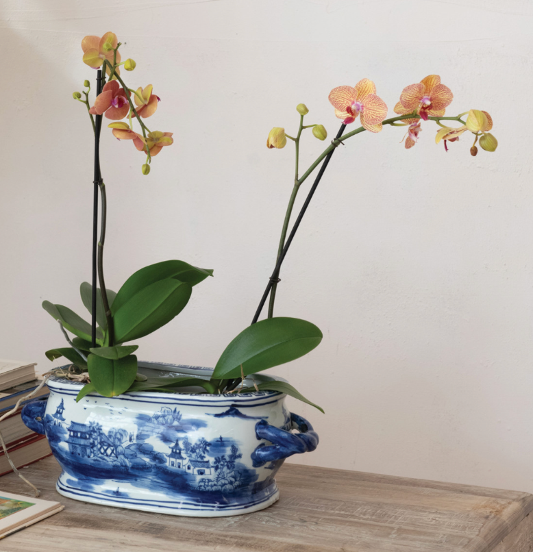 Oval Hand Painted Blue and White Planter w/ Landscape