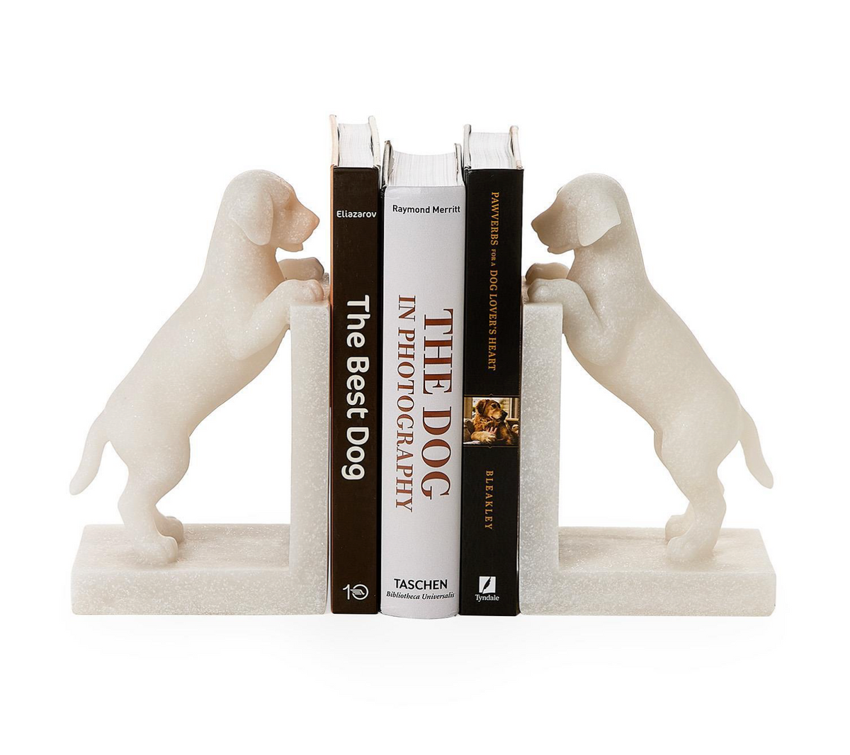 Playful Puppy Dog Book Ends (Set of 2)
