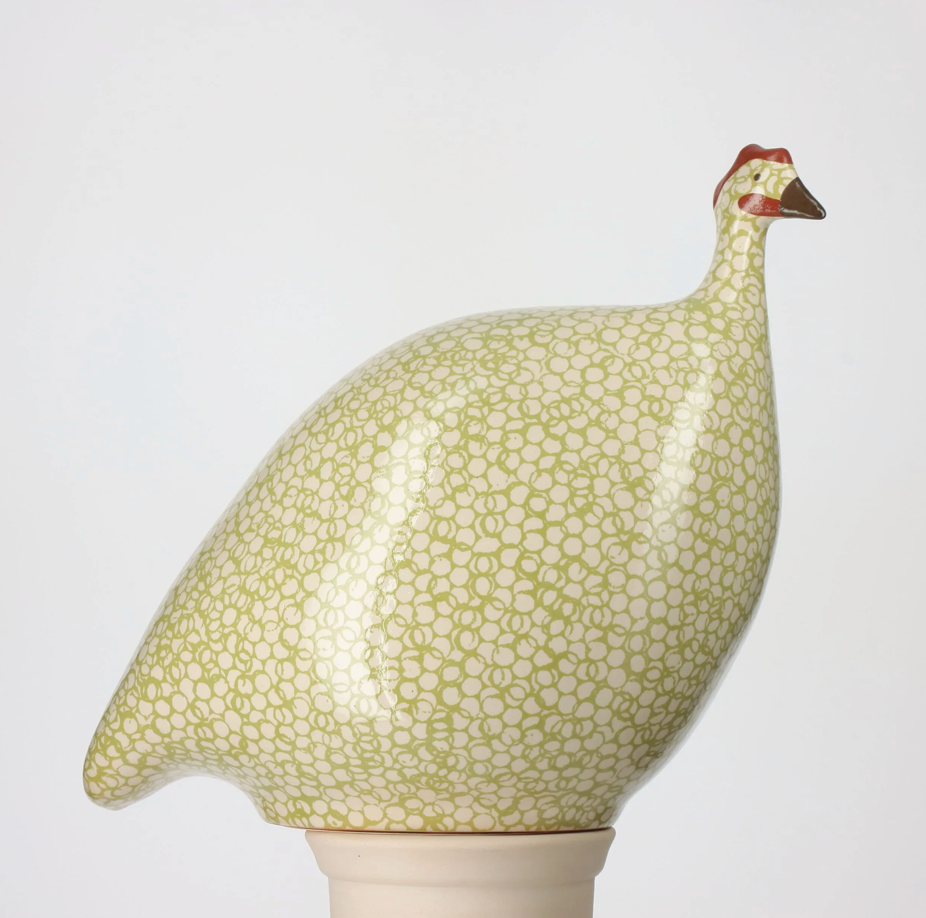 Medium Guinea Hen
