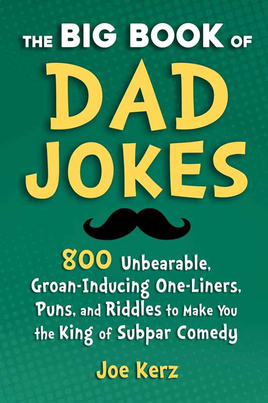 Big Book of Dad Jokes by Joe Kerz