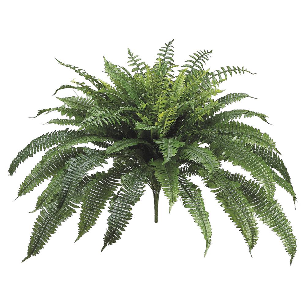 32"New Boston Fern Bush