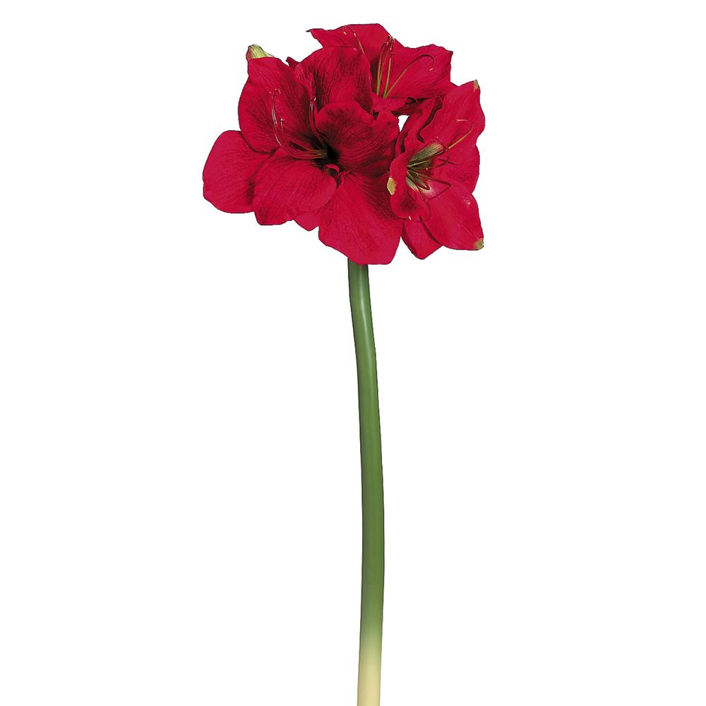 29″ Amaryllis Spray Red