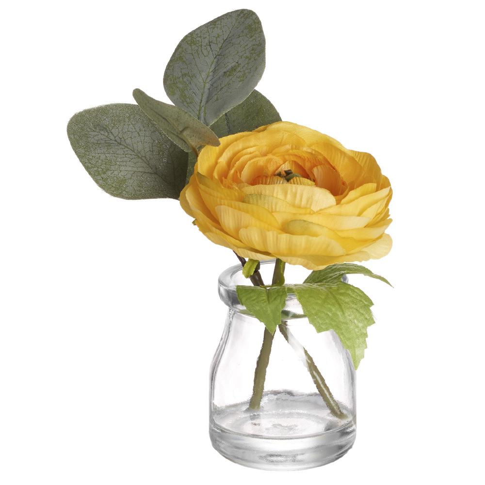 Ranunculus in Glass Vase