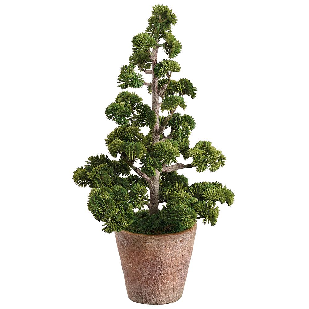 18" Pinetree In Cement Pot