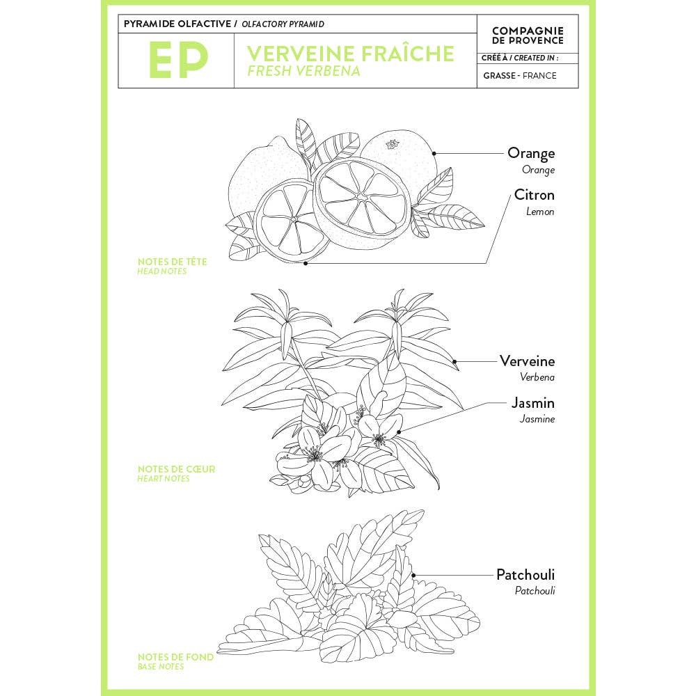 Liquid Marseille Soap Fresh Verbena 16.7 fl oz Glass