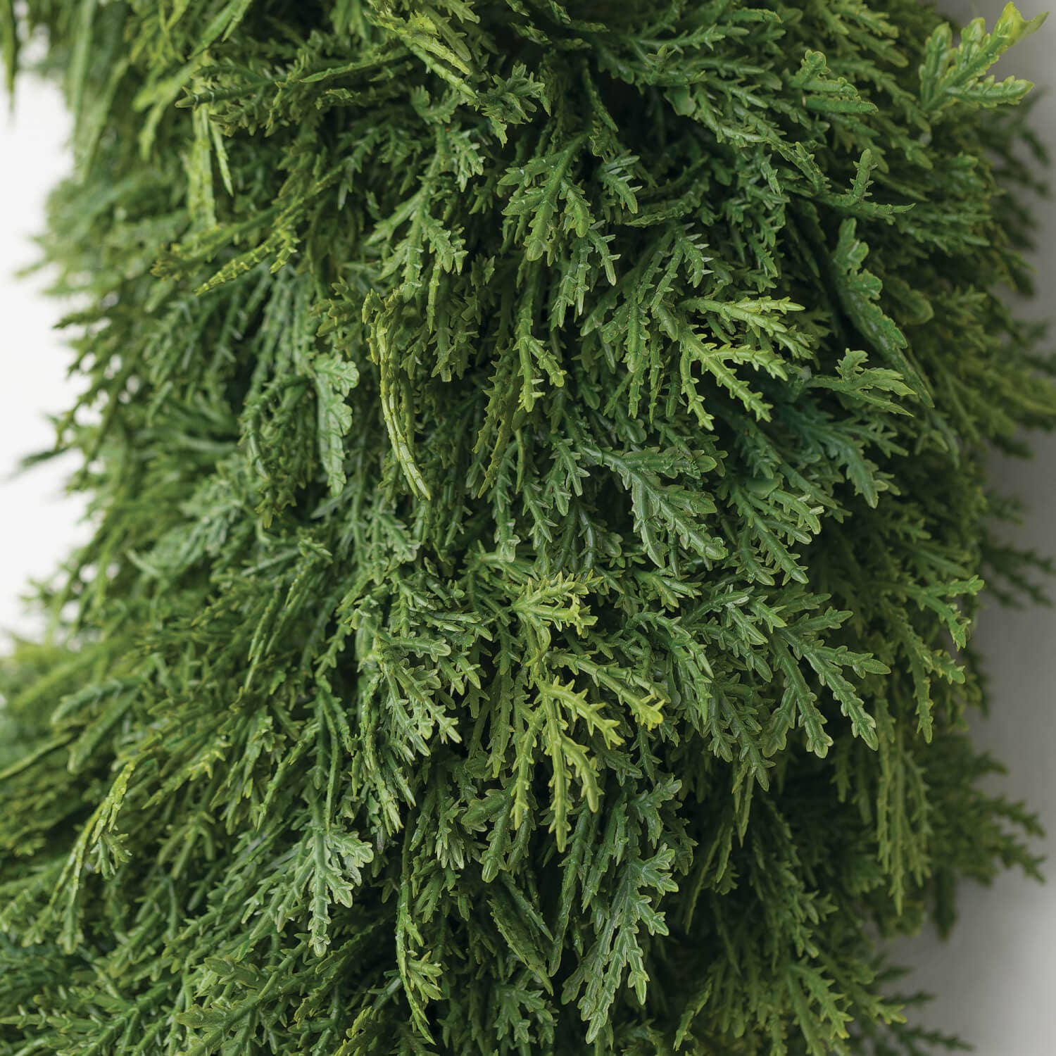 CEDAR WREATH