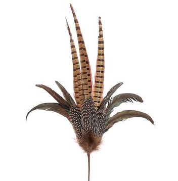 26" Pheasant Feather Spray