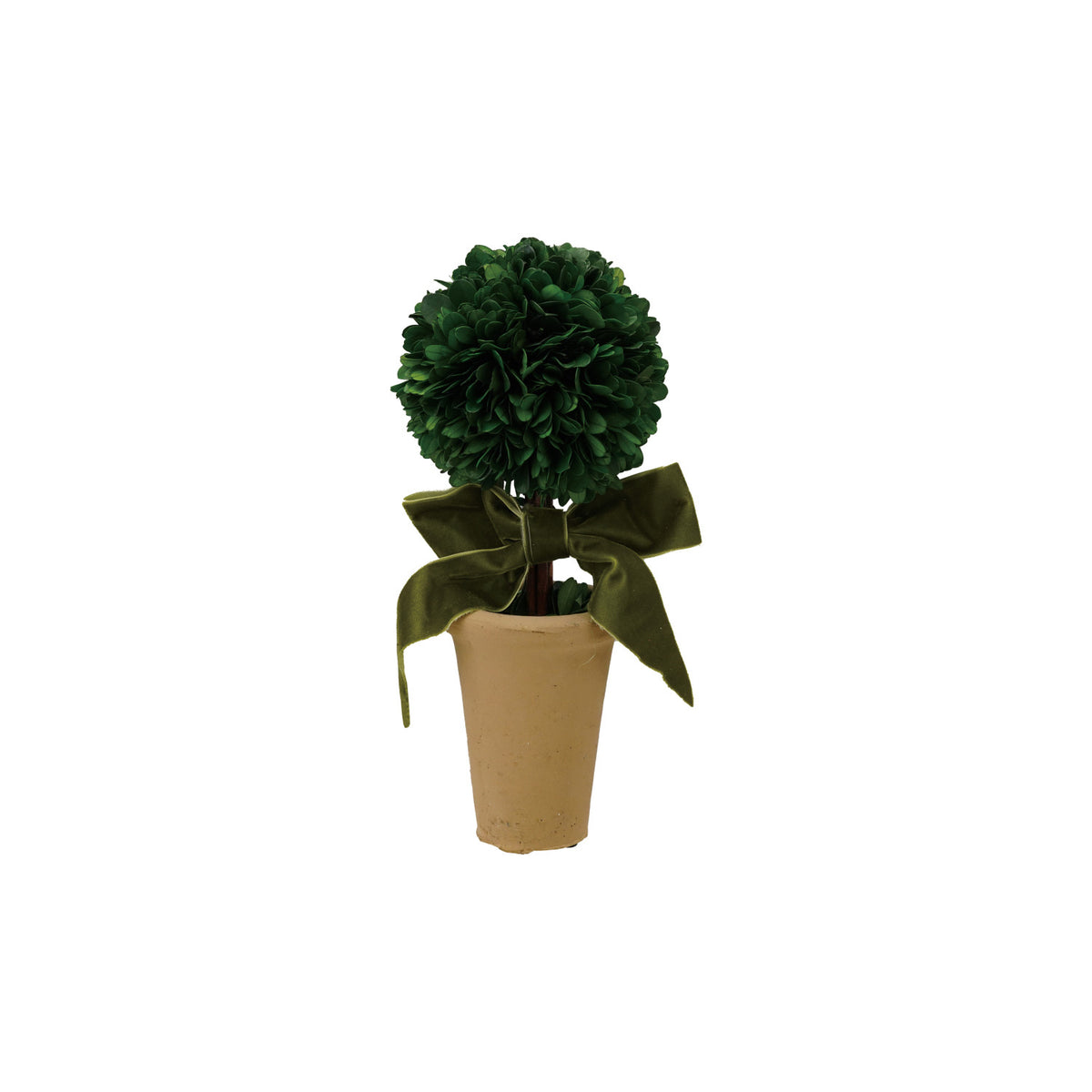 Dried Boxwood Tree with Velvet Bow